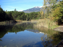 Озеро в природном парке Пфинвальд